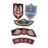 COLLECTION OF SPECIAL FORCES INSIGNIA