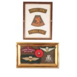 TWO FRAMES CONTAINING CANADIAN AIRBORNE AND DUTCH ARMY INSIGNIA