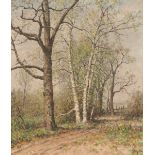 ALPHONSE STENGELIN (1852-1938) Study of trees