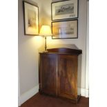 A REGENCY MAHOGANY ESTATE CABINET,