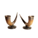 A PAIR OF VICTORIAN SILVER PLATED METAL MOUNTED HORNS,