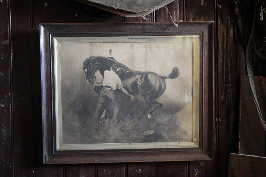A SMALL QUANTITY OF EQUINE PRINTS, - Image 4 of 5