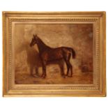 MANNER OF HENRY FREDERICK LUCAS-LUCAS (1848-1943) 'Moodkee' a horse portrait