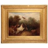 GEORGE ARMFIELD (1808-1893) Three spaniels flushing out a pheasant