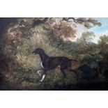 ENGLISH SCHOOL, 18TH/19TH CENTURY A pointer in a landscape,