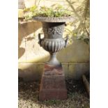 A PAIR OF CAST IRON TWIN HANDLED GARDEN URNS ON PLINTHS,