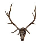 A PAIR OF EUROPEAN RED DEER ANTLERS,