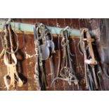 A LARGE QUANTITY OF LEATHER HORSE TACK, BRIDLES AND RELATED ITEMS,