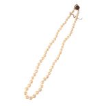 A SINGLE STRAND CULTURED PEARL NECKLACE