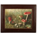 MANNER OF ARCHIBALD THORBURN (1860-1935) A study of toadstools