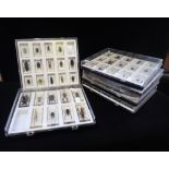 A LARGE COLLECTION OF PERSPEX-ENCASED INSECT SPECIMEN PAPERWEIGHTS