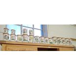 A LARGE COLLECTION OF PORTMEIRION BOTANICAL GARDEN STORAGE JARS