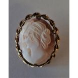 HAND CARVED SHELL CAMEO BROOCH