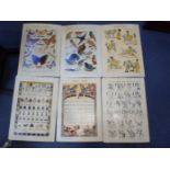 SIX 'CHILDREN'S ENCYCLOPEDIA WALL CARDS'