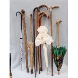 A COLLECTION OF WALKING STICKS