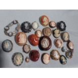 A COLLECTION OF CAMEO BROOCHES