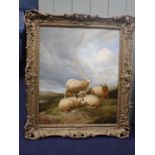 OIL ON CANVAS, SHEEP IN A LANDSCAPE