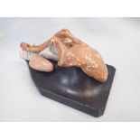 A CAST PLASTER ANATOMICAL MODEL OF A TONGUE