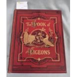 R.FULTON; THE BOOK OF PIGEONS