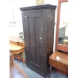 A VICTORIAN PINE SHELVED TALL CUPBOARD