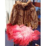 A FUR CAPE AND A OSTRICH FEATHER TORTOISHELL FAN