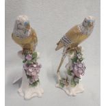 A PAIR OF PORCELAIN BUDGERIGARS WITH GILDED BODIES