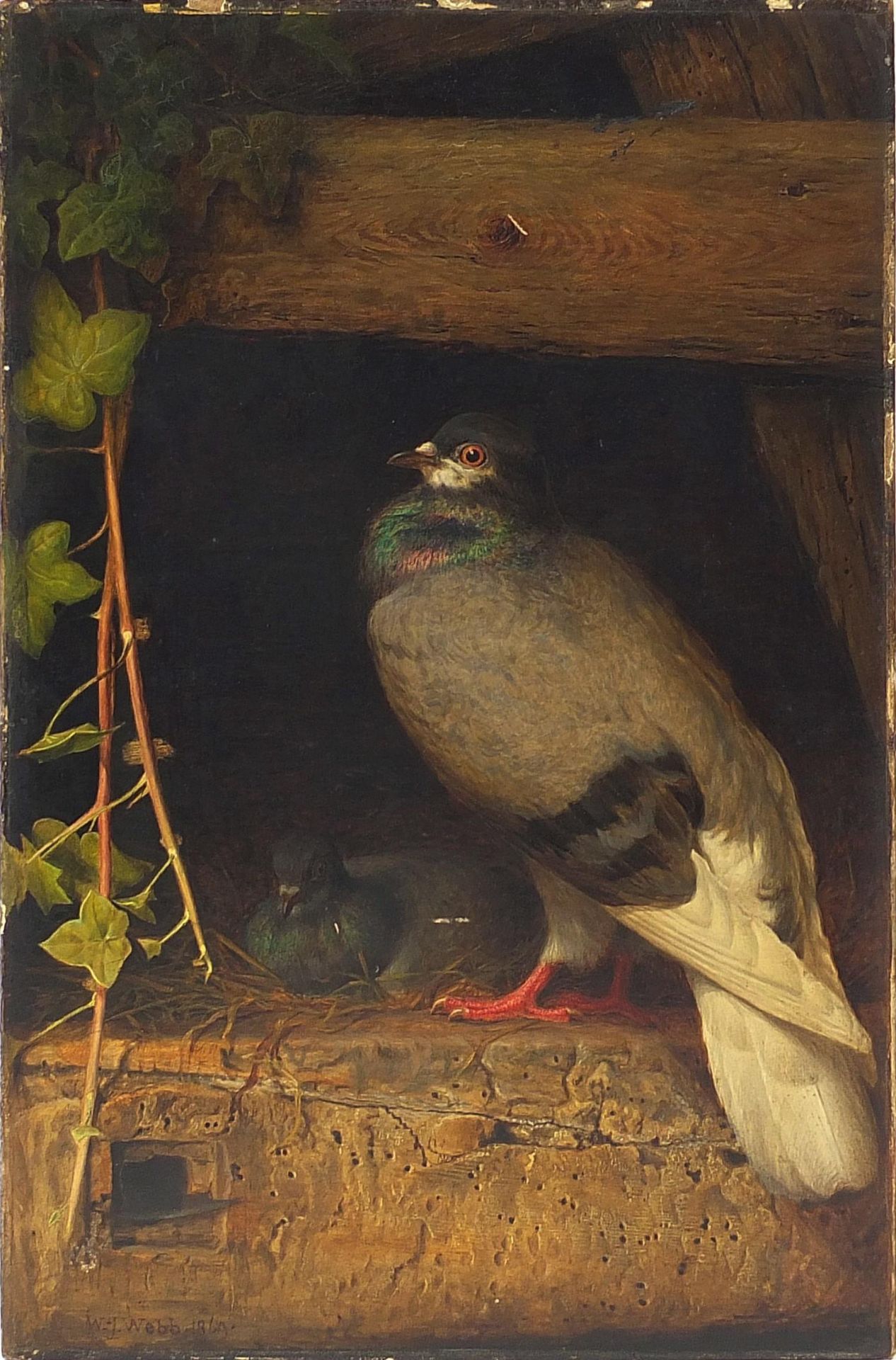 William James Webb 1869 - Two pigeons, 19th century oil on panel board, stamped 370AX and paper - Image 2 of 10