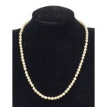 Lotus simulated pearl necklace with box, 36cm in length