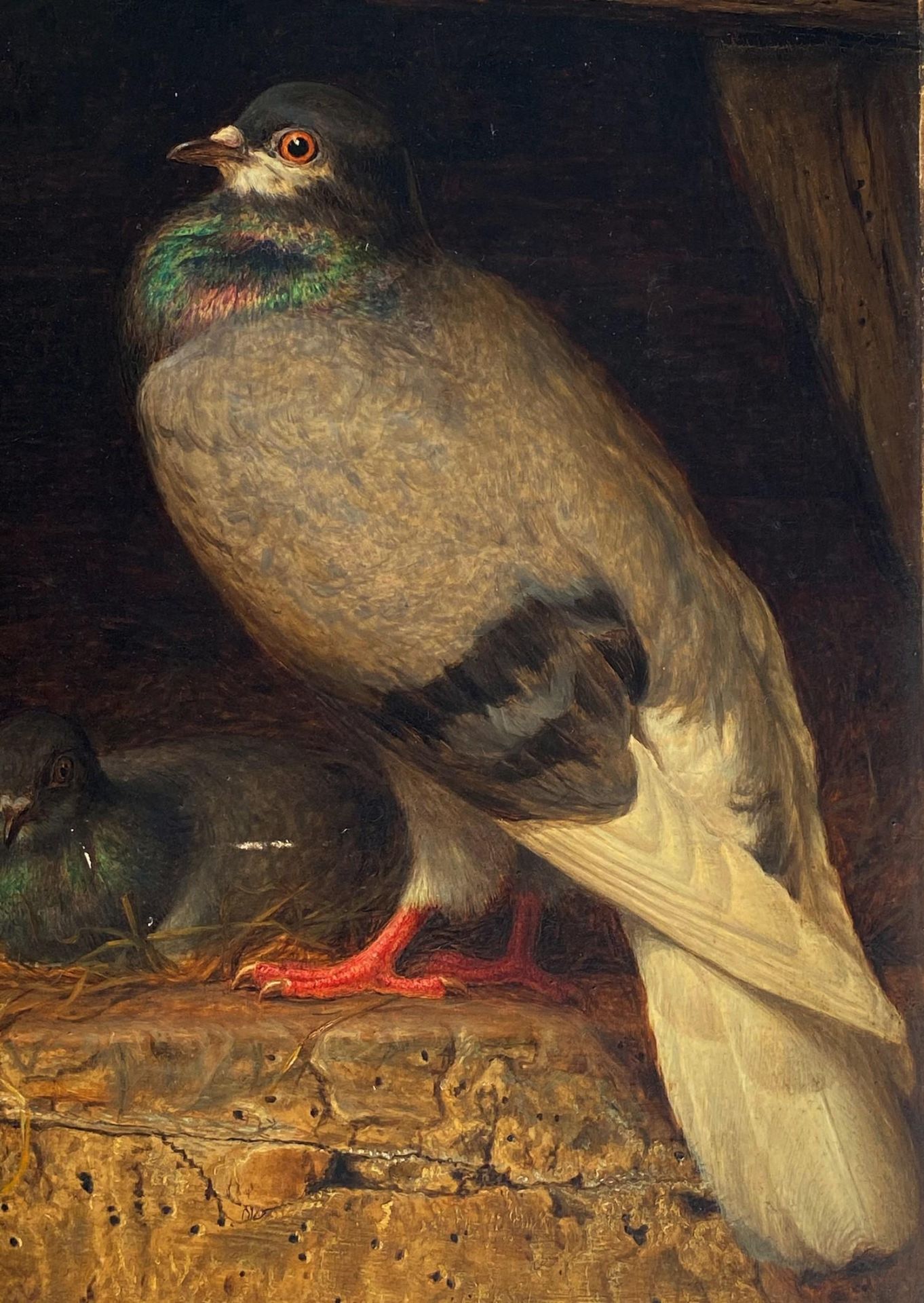 William James Webb 1869 - Two pigeons, 19th century oil on panel board, stamped 370AX and paper - Image 3 of 10