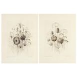 Kathleen Caddick - Dried flowers, pair of pencil signed artist's proof etchings, framed and