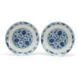 Pair of Chinese porcelain dishes hand painted with flower heads amongst scrolling foliage, six
