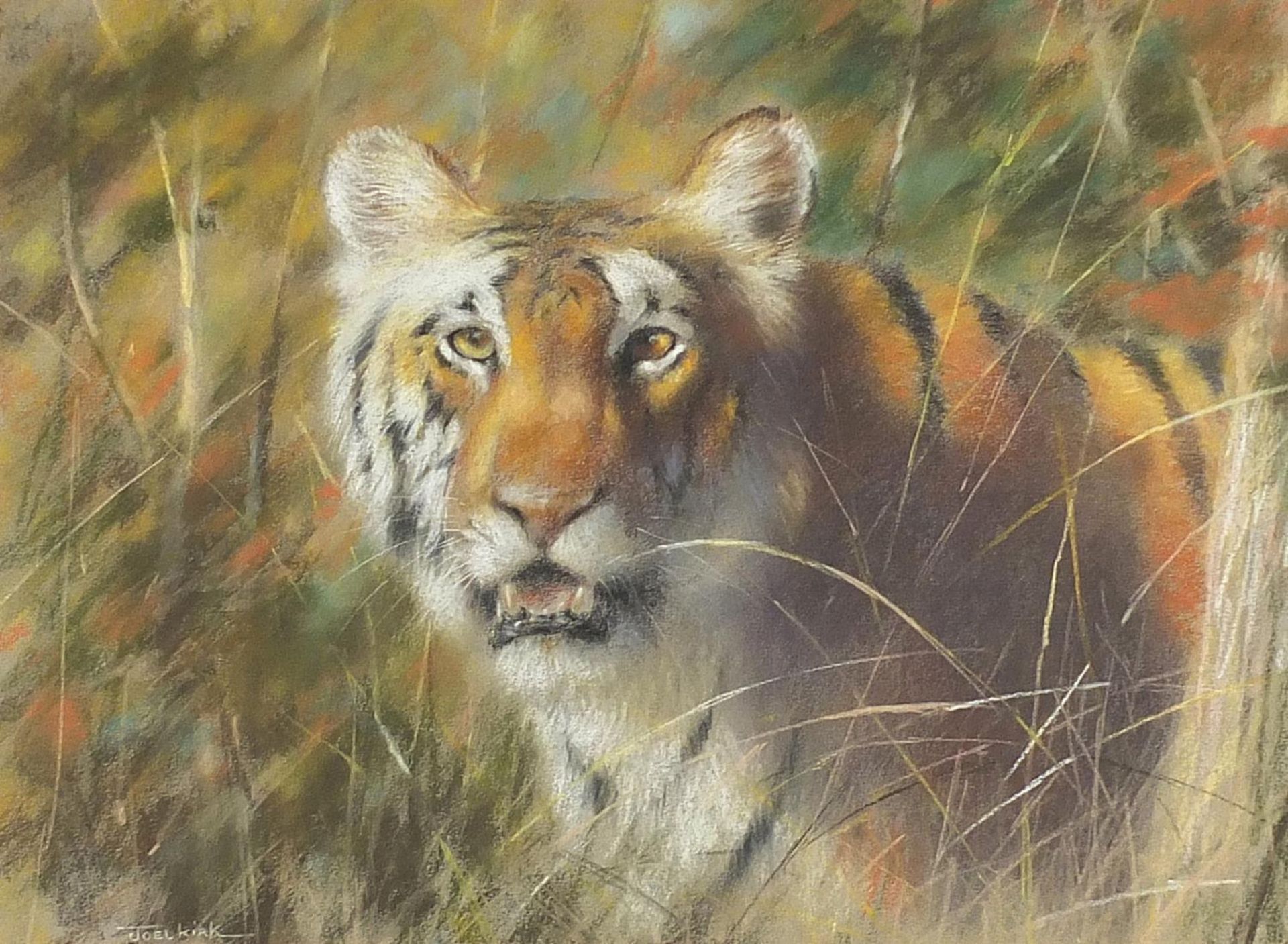 Joel Kirk - Study of a tiger, signed pastel, mounted, framed and glazed, 63.5cm x 50cm excluding the