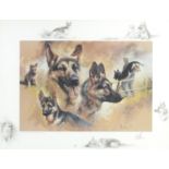 Michael Cawston - Alsatians, pencil signed print in colour, limited edition 437/850, mounted, framed