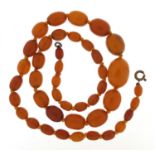 Butterscotch amber coloured graduated bead necklace, 48cm in length, 20.0g