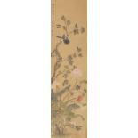 Bird amongst blossoming peony flowers, Chinese watercolour on paper scroll with calligraphy and