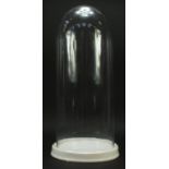 Large taxidermy interest glass dome on ceramic stand, 63cm high