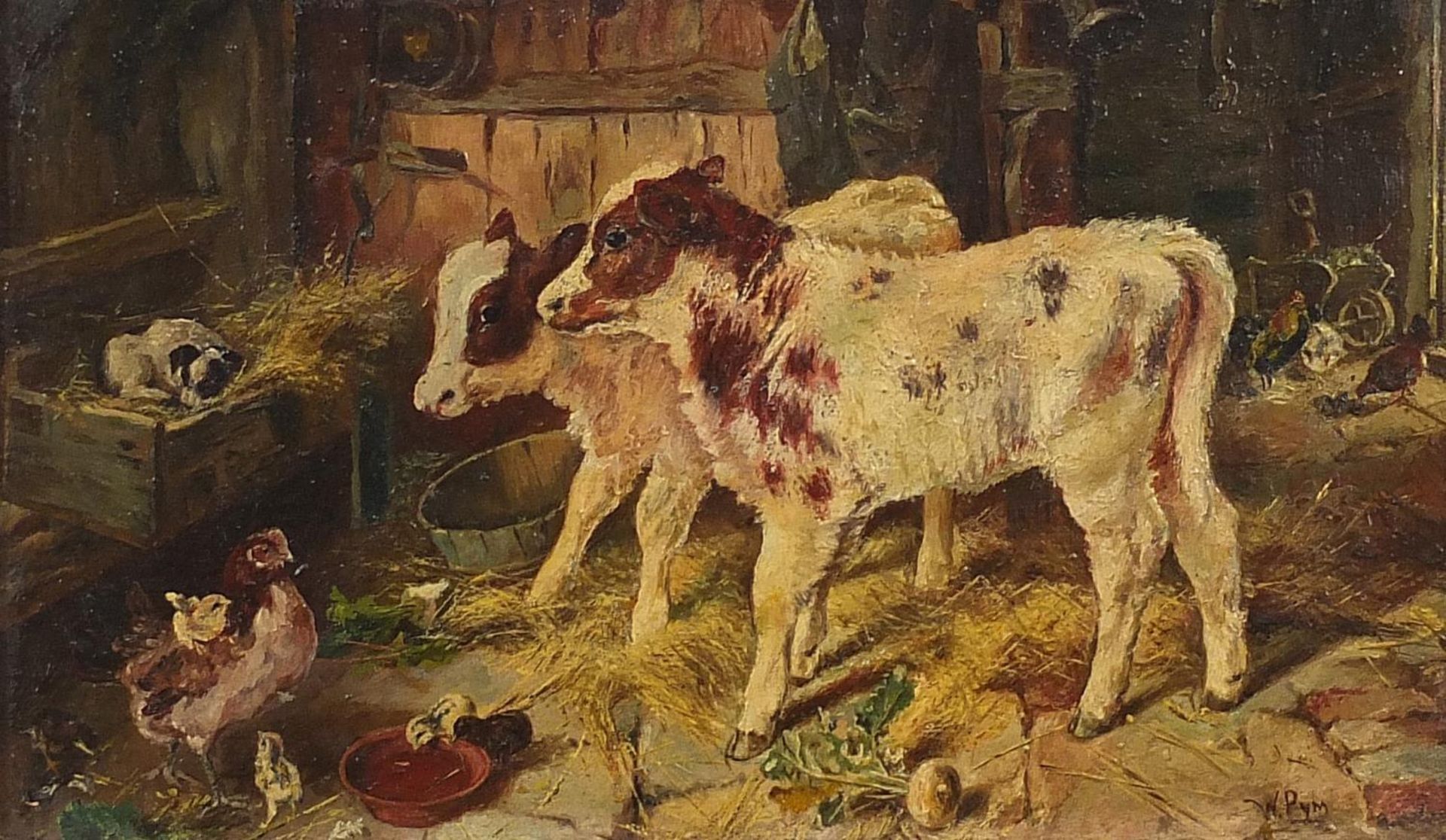 W Pym - Farm animals in a barn, 19th century oil on board, mounted and framed, 28cm x 16cm excluding