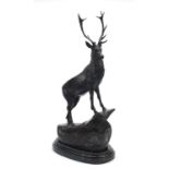 Large patinated bronze stag raised on a shaped marble base, 75cm high