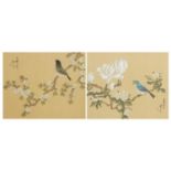 Birds amongst flowers, pair of Chinese watercolours with calligraphy and red seal marks, mounted,