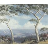 Joan Evans - Mountainous landscape, oil on canvas board, mounted and framed, 92cm x 77cm excluding