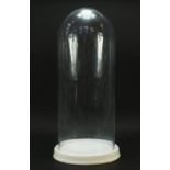 Large taxidermy interest glass dome on ceramic stand, 63cm high