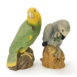 Animal Classics, two parrots, the largest 28cm high