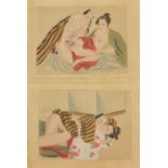 Chinese eight panel folding book hand painted with erotic scenes and calligraphy, each painting