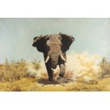 Brun - Charging bull elephant, signed oil on canvas, C Robertson & Co stamp verso, framed, 90cm x