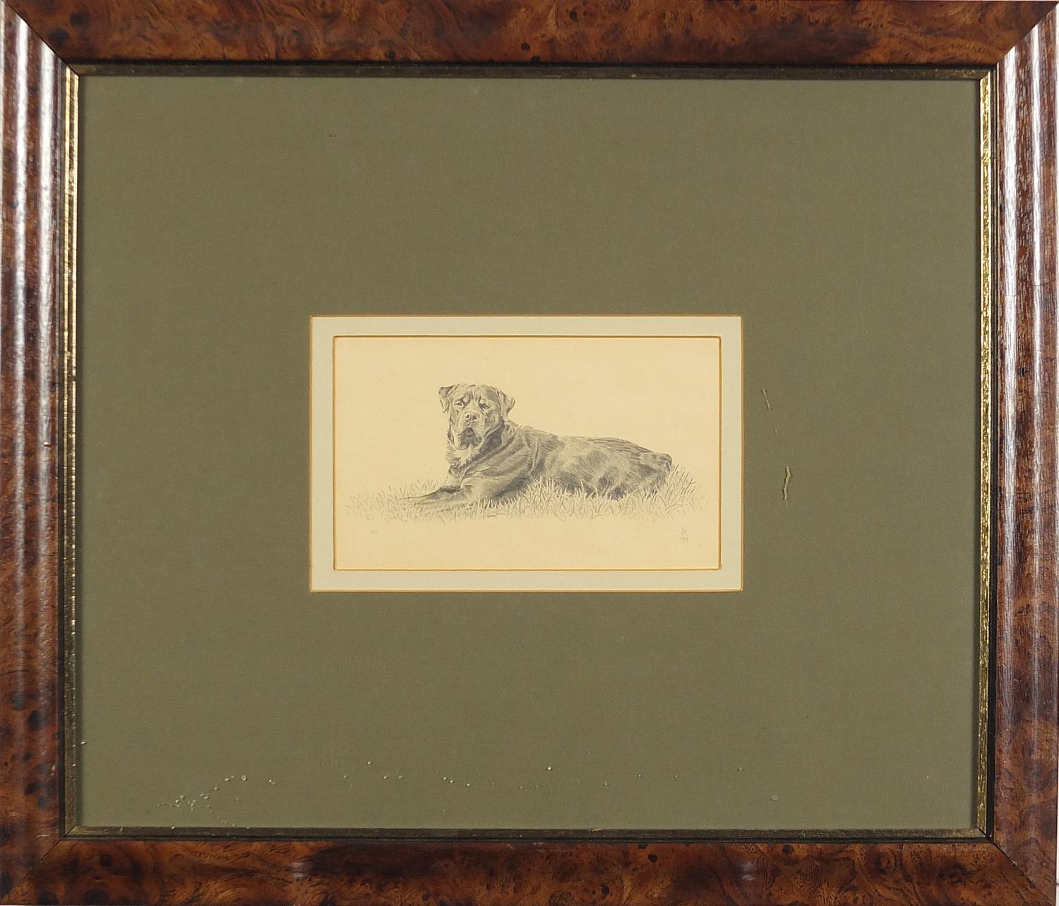 Two dogs, Riff and Jenny, two pencil drawings, mounted, framed and glazed, the largest 15.5cm x 14cm - Image 3 of 8