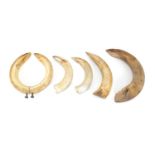 Six hippopotamus ivory teeth, the largest 33.5cm in length :