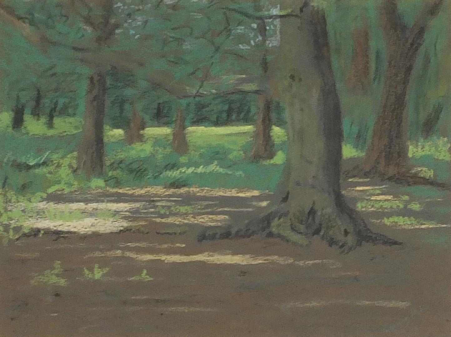 W Warren Perkins - A shady corner, Richmond Park, signed and dated pastel, inscribed verso, mounted,