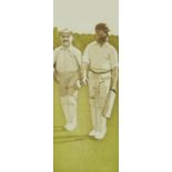 Christopher Penny - Couples 3, cricketing interest pencil signed print in colour, limited edition