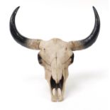 Modern decorative skull with horns, 42cm wide :