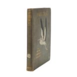 Fairy Tales by Hans Christian Andersen, hardback book, dated 1920 :